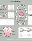 Tooth Chart for kids 